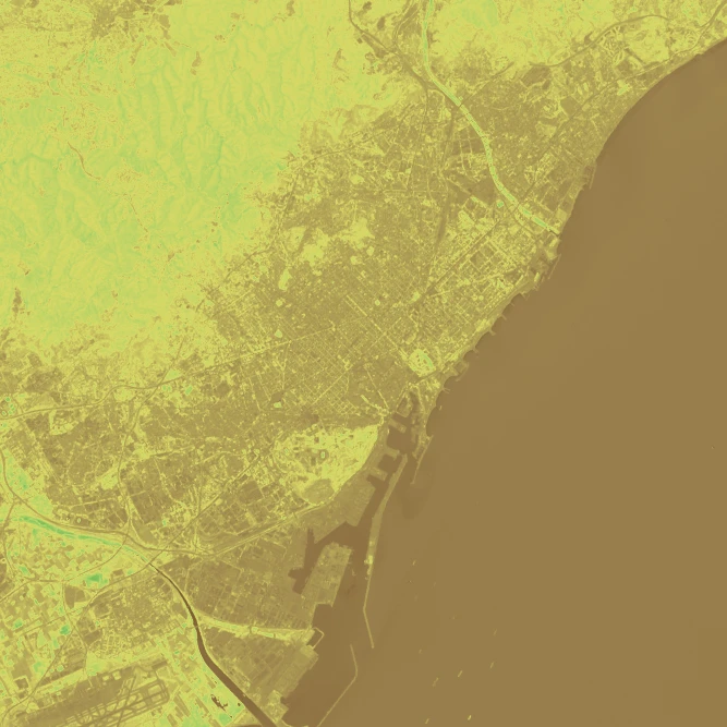 Barcelona vegetation